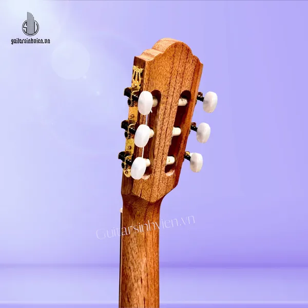 Đàn Guitar Classic Gỗ Điệp Cao Cấp SV-C5