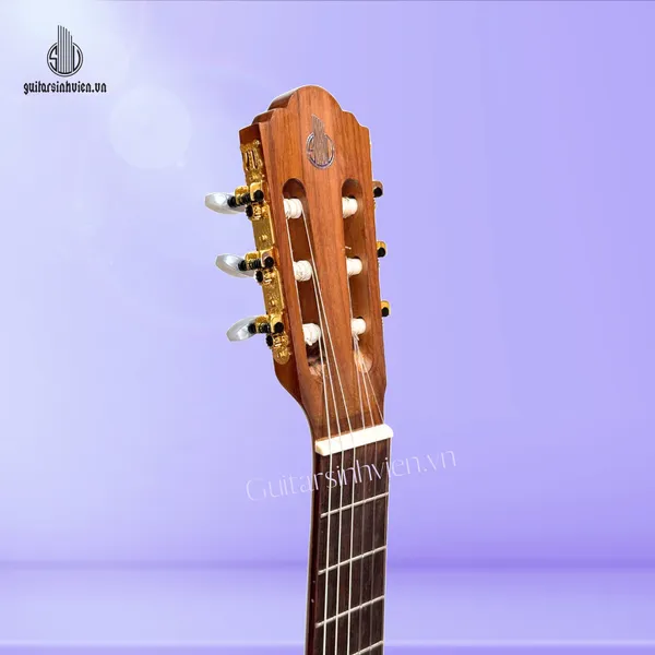 Đàn Guitar Classic Gỗ Hồng Đào SV-C3
