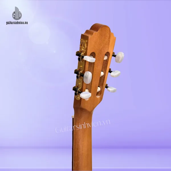 Đàn Guitar Classic Gỗ Hồng Đào SV-C3