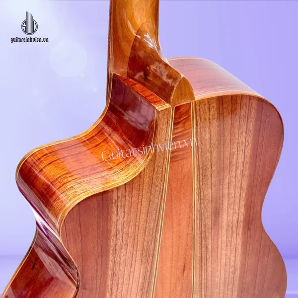 💥HOT💥 Guitar Acoustic Gỗ Hồng Đào Vát Bavel SV-A2V