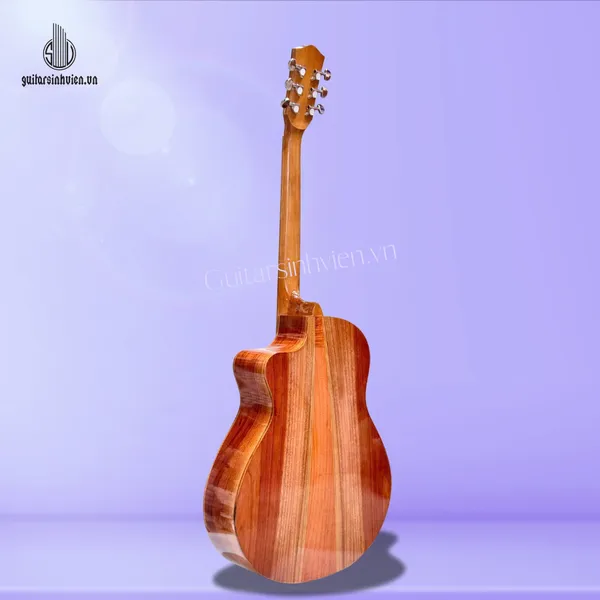 💥HOT💥 Guitar Acoustic Gỗ Hồng Đào Vát Bavel SV-A2V