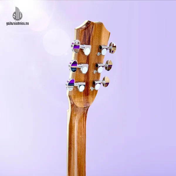 Guitar Acoustic Gỗ Hồng Đào Già Vát Bavel SV-A4V