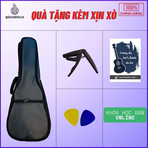 Đàn Ukulele Concert Giá Rẻ | Chất Lượng UKU23