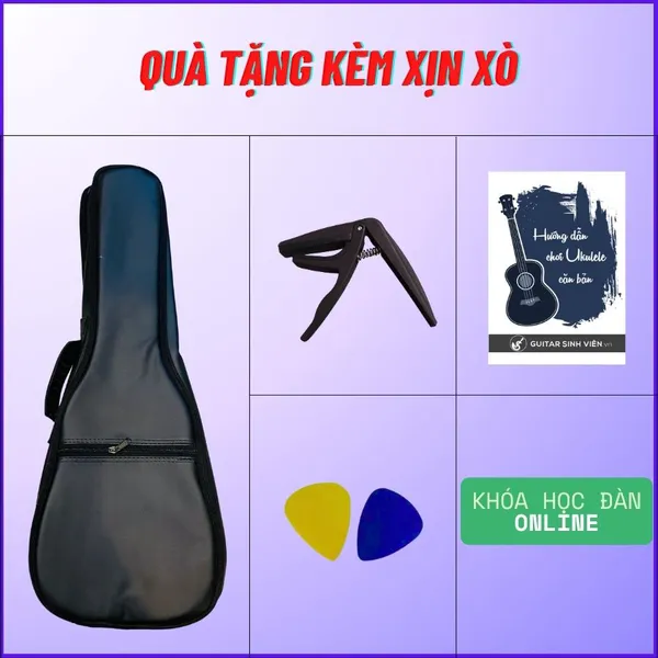 Đàn Ukulele 23 Inch Concert Gdanube