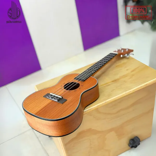 Đàn Ukulele 23 Inch Concert Gdanube
