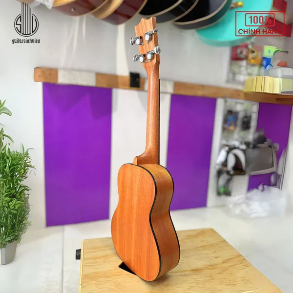 Đàn Ukulele 23 Inch Concert Gdanube