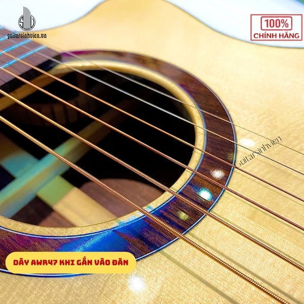 Dây đàn guitar acoustic cao cấp Alice AWR47 Chính Hãng