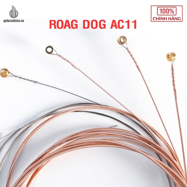 Dây Đàn Guitar Acoustic Road Dog AC11