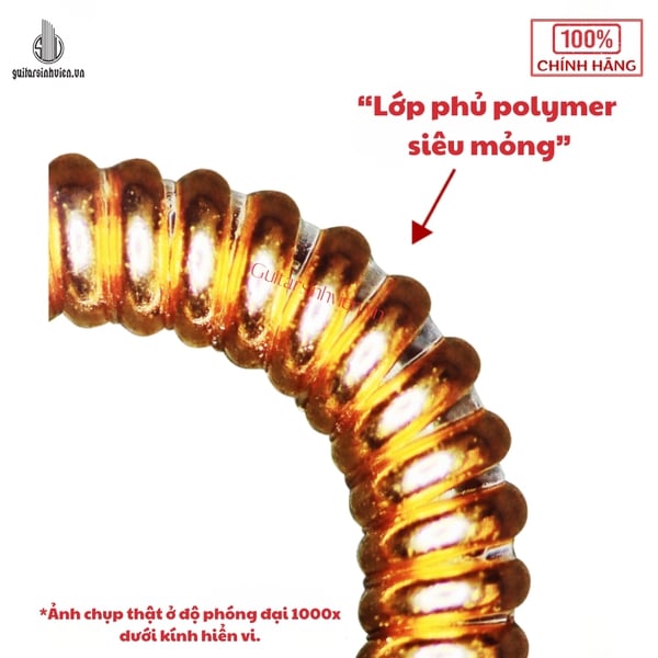 Dây Đàn Guitar Acoustic Road Dog TC11