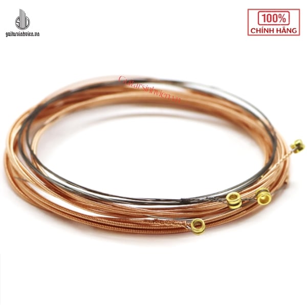 Dây Đàn Guitar Acoustic Road Dog TC11