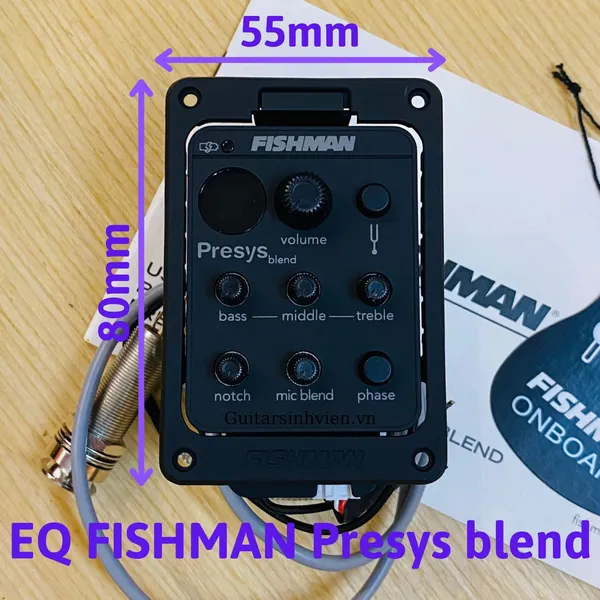 Lắp EQ Fishman Presys Blend 301 chính hãng