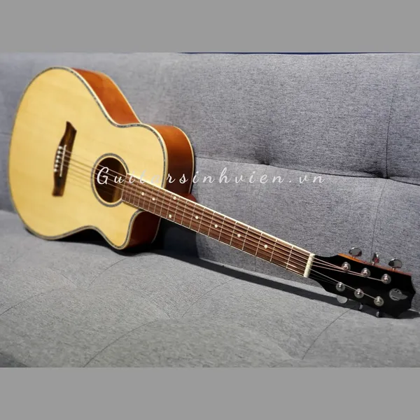 Guitar tập chơi acoustic cẩn trai cao cấp - X1
