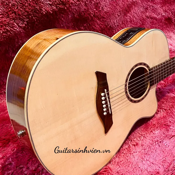 Lắp EQ Đàn Guitar 7545R Chính Hãng