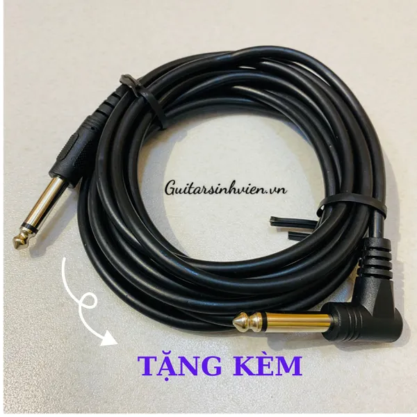 Lắp EQ Fishman presys II chính hãng
