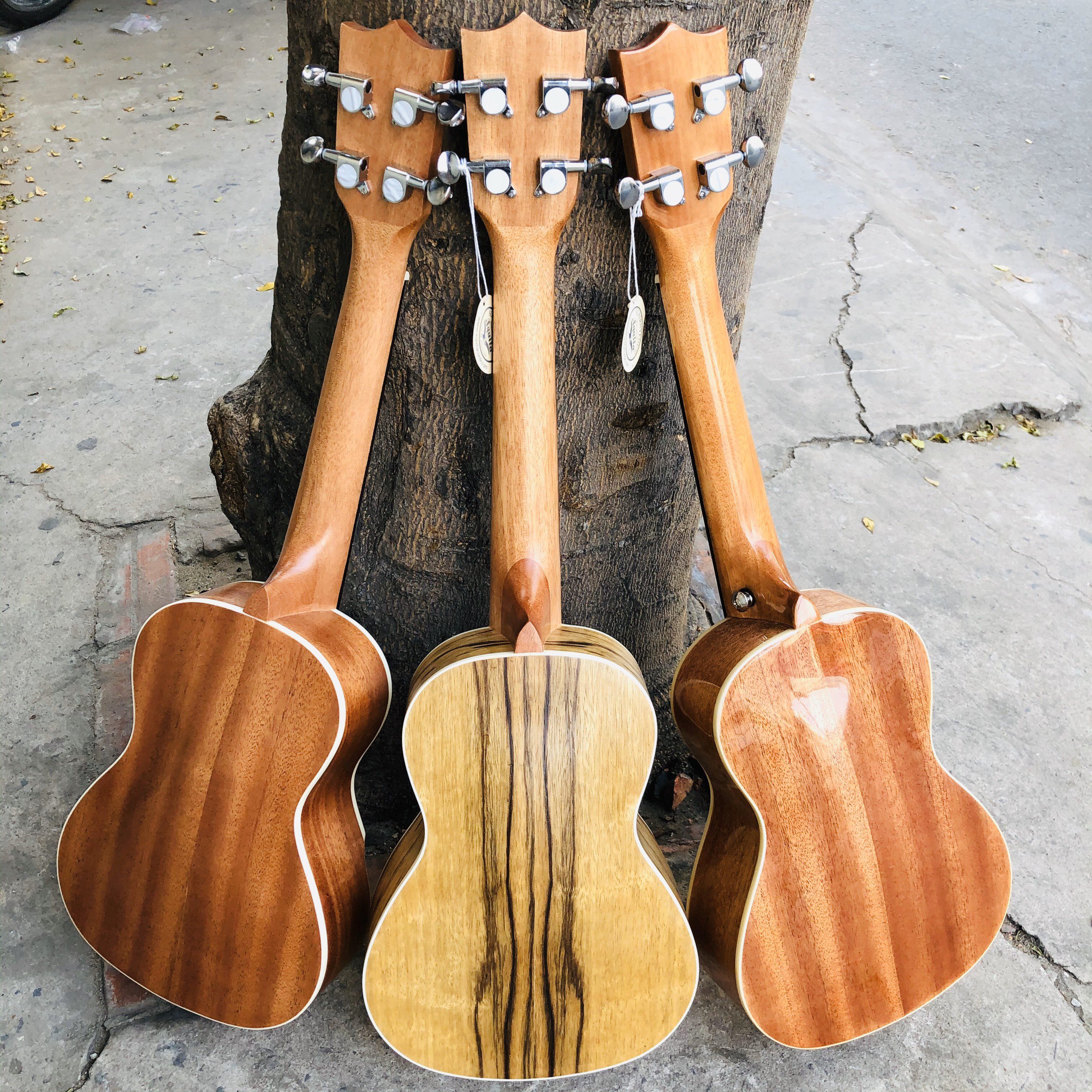 Đàn ukulele gỗ cocobolo cao cấp size concert - vân gỗ đẹp từ HCM