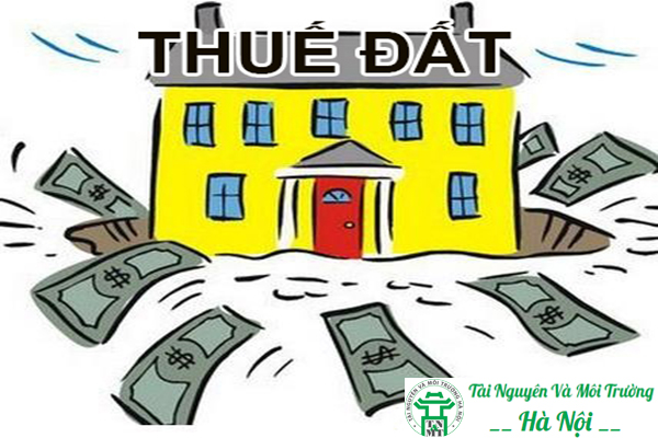 thuế đất