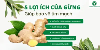 Bí quyết bảo vệ trái tim từ thiên nhiên: Gừng và những lợi ích ít ai ngờ
