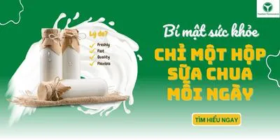 Bí mật sức khỏe: Chỉ một hộp sữa chua mỗi ngày