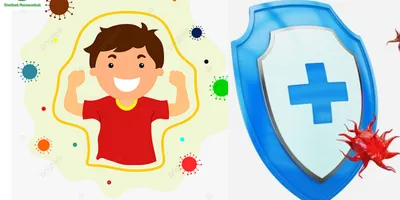 Độ tuổi nào thì hệ miễn dịch của trẻ phát triển toàn diện?