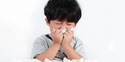 Viêm mũi dị ứng có lây nhiễm không? Cách phòng ngừa bệnh Viêm mũi dị ứng