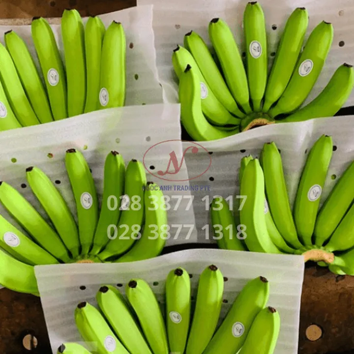 MÀNG XỐP FOAM PE LÀ GÌ? CÓ NÊN CHỌN MÀNG XỐP PE FOAM ĐÓNG GÓI HÀNG HÓA?