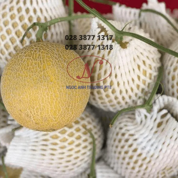 LƯỚI XỐP BỌC TRÁI CÂY