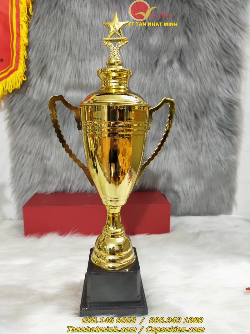 ** 20 NĂM NHẬP CÚP BÓNG ĐÁ THỂ THAO 0901460008