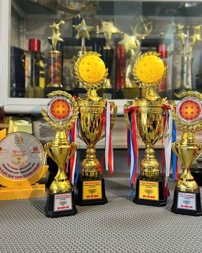 Cúp Pickleball Vinh Danh - Phần Thưởng Cho Người Xuất Sắc