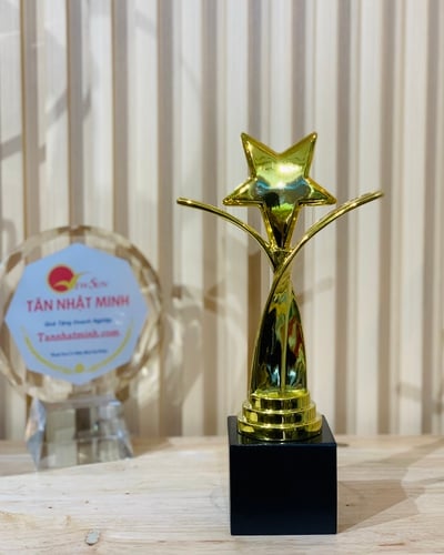 Cúp Thể Thao Mới 9