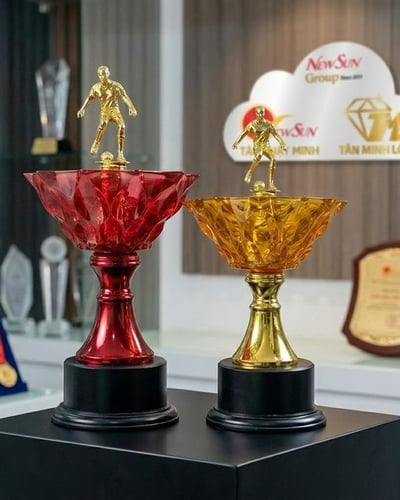 Cúp Bóng Đá Lưu Niệm Đẹp 6