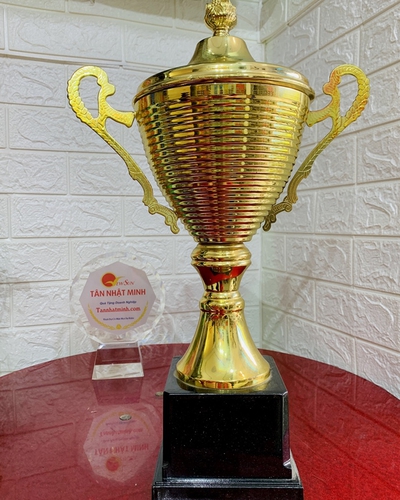 Cúp bóng đá thể thao ĐẸP 3