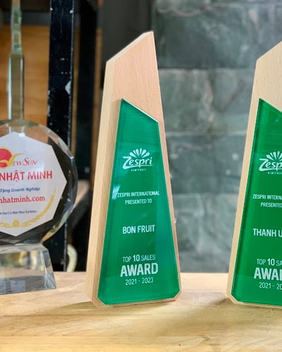 Cúp vinh danh SIÊU ĐẸP gỗ pha lê