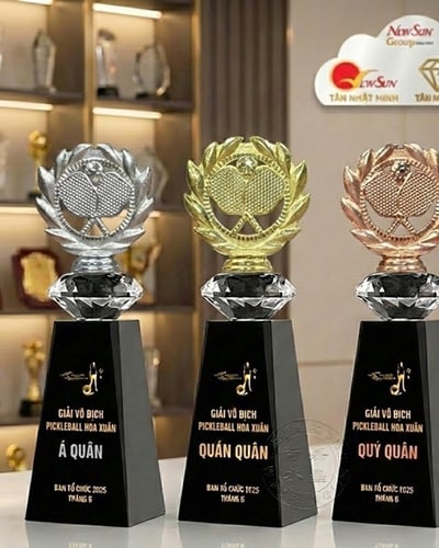 Cúp Pickleball pha lê Đẹp - (16)