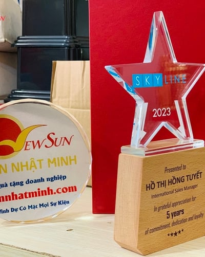 Mẫu kỷ niệm chương đẹp - 4