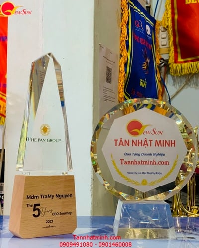 Cúp vinh danh SIÊU ĐẸP - 6