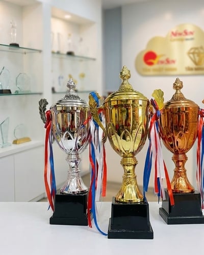 Cúp lưu niệm kim loại 44