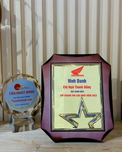 Bảng vinh danh, kỷ niệm chương gỗ đồng -4