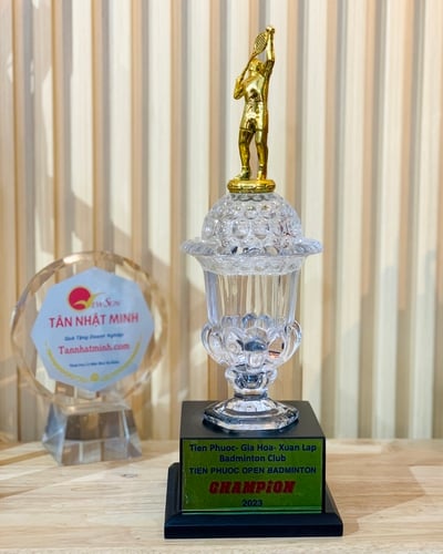 Cúp pha lê cầu lông Cúp thể thao 14