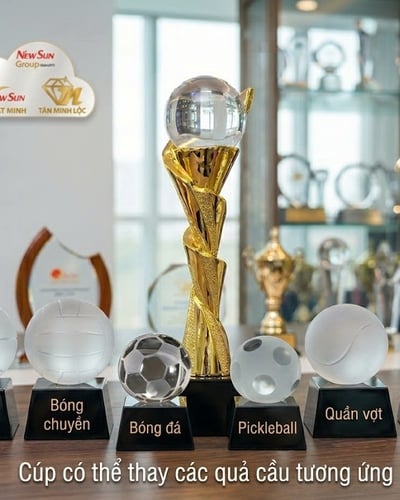 Cúp lưu niệm vinh danh trao giải Đa dạng 3