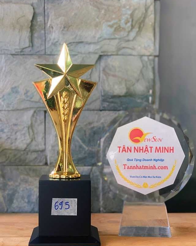 Mua Cúp Ấn Độ, Cúp Vinh Danh Lưu Niệm Giá Rẻ (695)