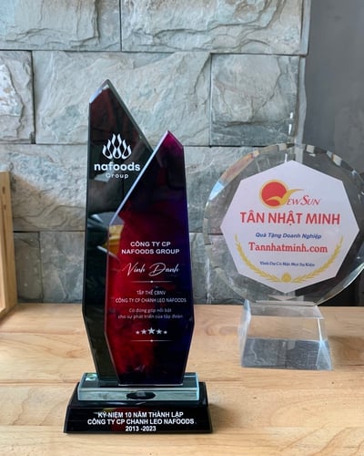 Cúp vinh danh 2 lớp pha lê