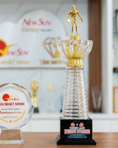 Cúp Bóng Bàn Kim Loại (13)