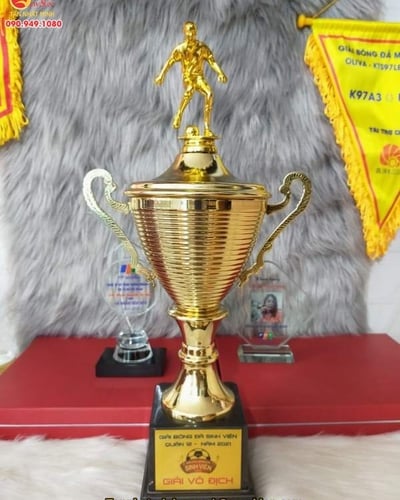 Cúp bóng đá nhập CAO CẤP -58