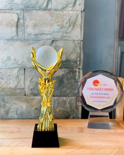 Mua Cúp Bida Vinh Danh Đẹp (7)