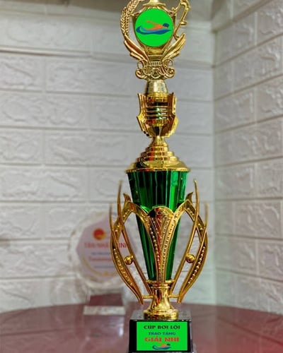 TOP 10 CÚP BƠI LỘI THỊNH HÀNH - Đặt Làm Cúp Giá Rẻ Đẹp