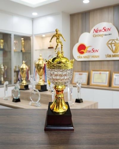 Cúp bóng đá đẹp, cao cấp 62