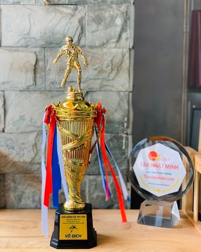 Cúp bóng đá cúp Nhựa giá rẻ N10