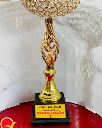 Cúp Đá Cầu - Nơi Mua Bán Cúp Đẹp Giá Rẻ