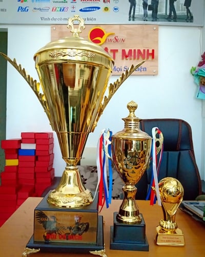 TOP 10 MẪU CÚP ĐÁ GÀ -GÀ CHỌI MUA NHIỀU NHẤT