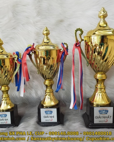 Cúp bóng đá thể thao giá rẻ 1